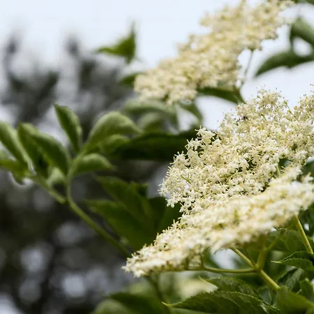 Sea View And Vintage Atmosphere In Odsherred