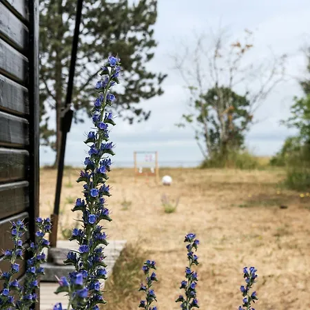 Vakantiehuis Sea View And Vintage Atmosphere In Odsherred *